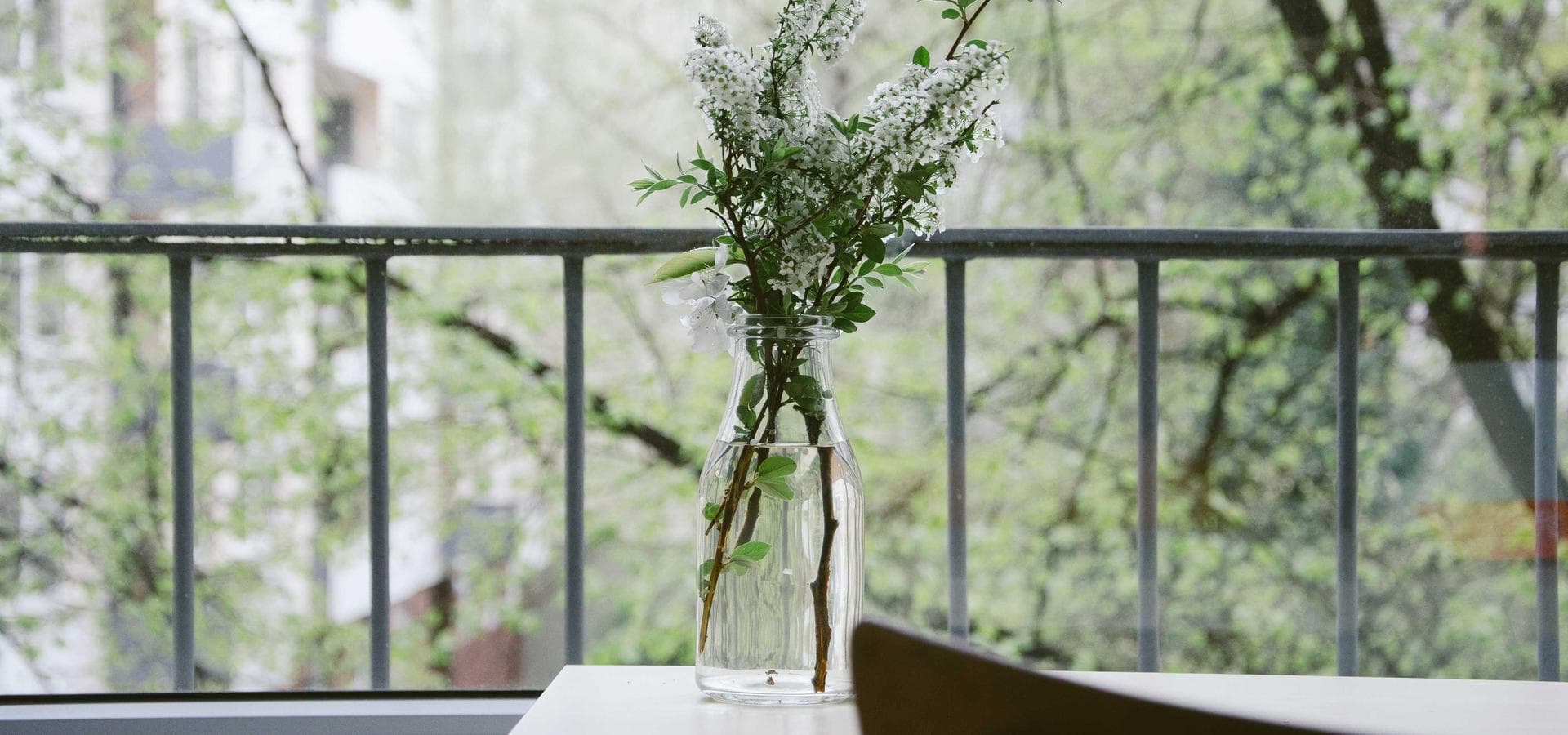 Founders' cabin porch overlooking a forested valley