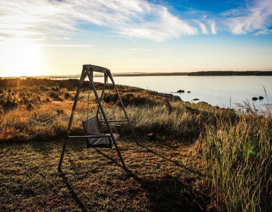 Watch for Wildlife at Golden Hour