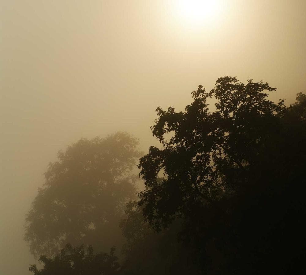 Foggy Summit House exterior