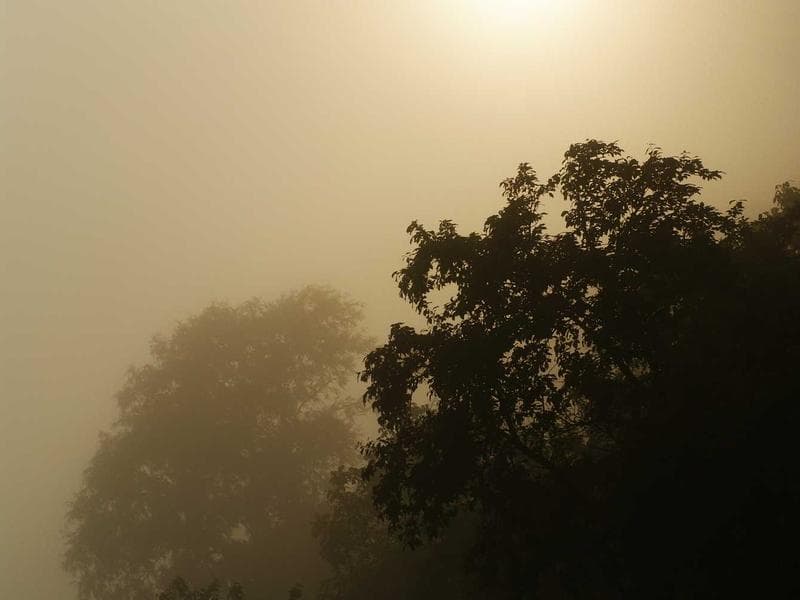 Foggy Summit House
